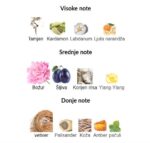 Amouage Dia Man - Image 3