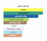 Dolce & Gabbana Light Blue Eau Intense Pour Homme EDP - Image 4