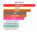 Montale Arabians Tonka - Image 4