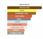 Mancera Intense Cedrat Boise - Image 4