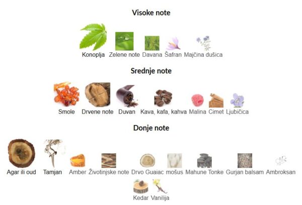 Nasomatto Black Afgano - Image 2