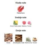 Nasomatto Nudiflorum - Image 3