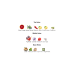 Dolce & Gabbana K edP - Image 3