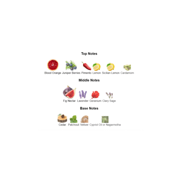 Dolce & Gabbana K edP - Image 3