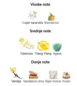 Memo Paris Marfa - Image 3