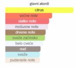 Ex Nihilo Blue Talisman - Image 4