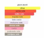 Xerjoff Torino 24 - Image 4