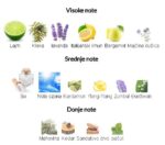 Tiziana Terenzi Foconero - Image 3