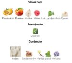 Tiziana Terenzi Kirke - Image 3