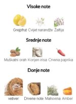 Tom Ford Grey Vetiver EDP - Image 3