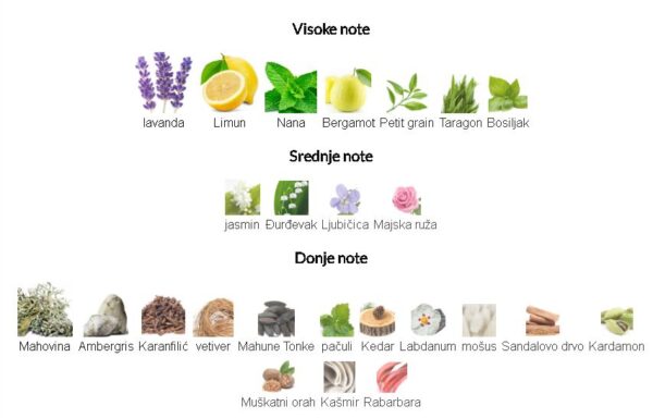 Roja Parfums Scandal Pour Homme Parfum Cologne - Image 3