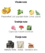 Tiziana Terenzi Cassiopea - Image 2