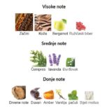 Mancera Saharian Wind EDP - Image 3