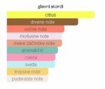 Versace Dylan Turquoise Woman - Image 4