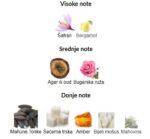 Montale Arabians Tonka - Image 3