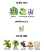 Orto Parisi Viride - Image 2