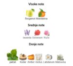 Orto Parisi Brutus - Image 3