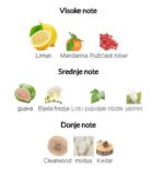 Versace Dylan Turquoise Woman - Image 3