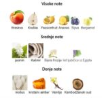 ARMAF Club de Nuit OUD Parfum Limited Edition - Image 2