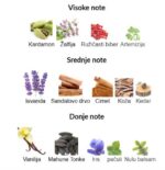 Gisada Titanium - Image 2