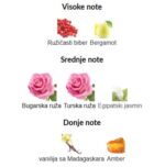 Initio Atomic Rose - Image 2