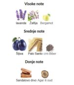 Initio Paragon - Image 3