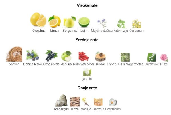 Roja Parfums Elysium Pour Homme Parfum Cologne - Image 2