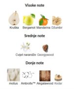 Ex Nihilo Blue Talisman - Image 3