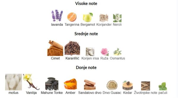 Frederic Malle Musc Ravageur - Image 2