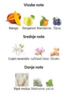 Xerjoff Torino 24 - Image 3