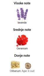 YSL Y Elixir - Image 3