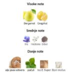 Louis Vuitton Orage - Image 3