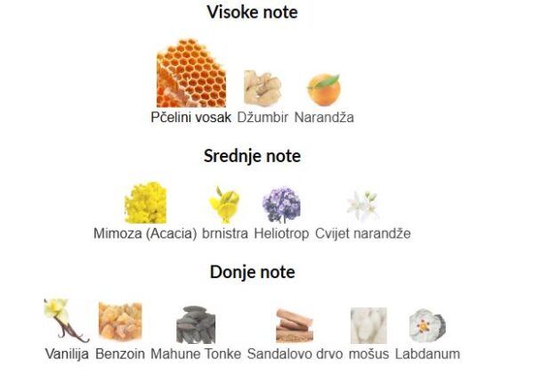 Zoologist BEE - Image 2