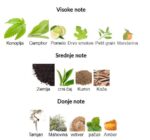 Zoologist King Cobra - Image 3