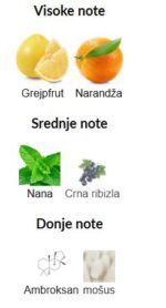 French Avenue Pinnace - Image 3