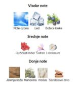 Zoologist Penguin - Image 3