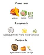 Gritti  Mango Aoud - Image 3