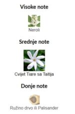 Roberto Cavalli Just Cavalli - Image 2