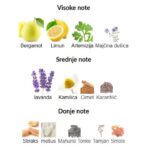 Nicolai  New York Intense - Image 3