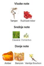 Maison Crivelli Ambre Chromatique - Image 2