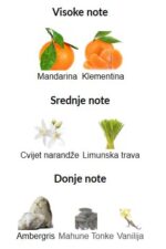 Tauer Perfumes 09 Orange Star - Image 2