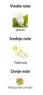 Gucci Bloom - Image 3