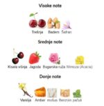 BORNTOSTANDOUT Indecent Cherry - Image 3