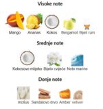 Lorenzo Pazzaglia Summer Hammer - Image 3