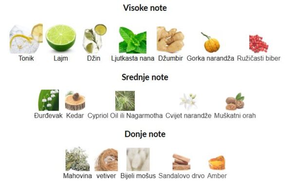 M. Micallef GNTONIC - Image 3