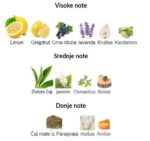 Mancera Melody Of The Sun - Image 3