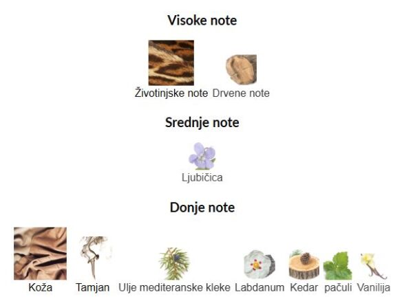 Orto Parisi Cuoium - Image 2