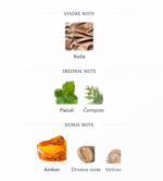 Rayhaan Cordova - Image 3