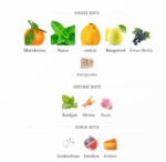 Rayhaan Pacific Aura - Image 3