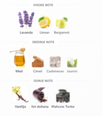 Rayhaan Italia - Image 3